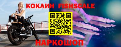 дмт Гатчина