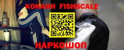 дмт Гатчина