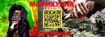 дмт Гатчина