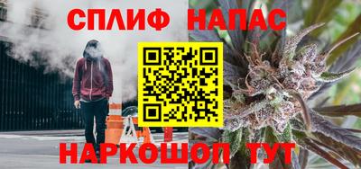 дмт Гатчина