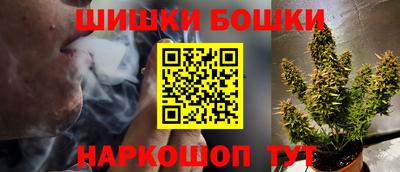 дмт Гатчина