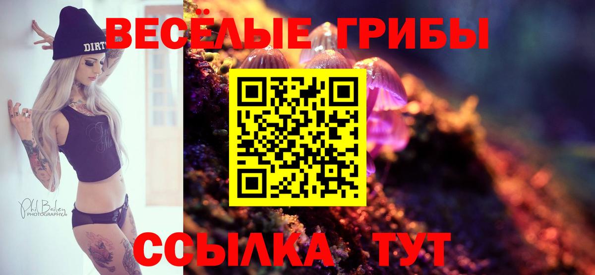 Псилоцибиновые грибы GOLDEN TEACHER Грозный